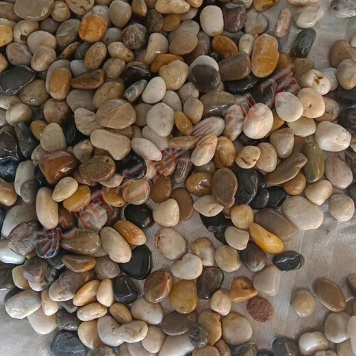 法库县制作天然鹅卵石园林鹅卵石彩色砾石五彩石