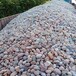 康平县制作天然鹅卵石园林鹅卵石彩色砾石雨花石