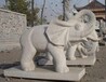 北京广场石雕大象生产厂家