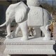 汉白玉石雕大象图