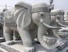 西藏广场石雕大象厂家