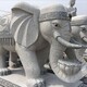 浙江石雕大象多少钱产品图