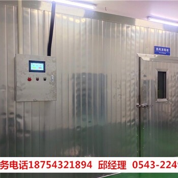 殺菌消毒房,熱風(fēng)循環(huán)消毒房,消毒庫(kù)