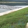 天津蓟县植被恢复绿化椰丝复合毯