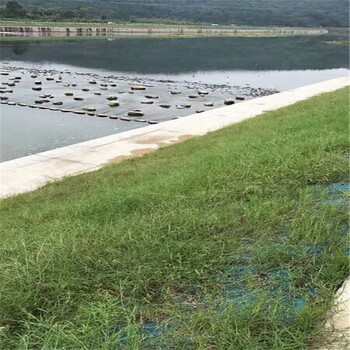天津河北边坡抗冲刷植被绿化椰丝复合毯