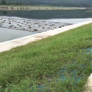 天津宁河河道边坡治理椰丝复合毯