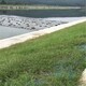 植物纖維毯圖