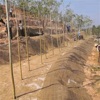 漢中椰絲毯抗沖生物毯