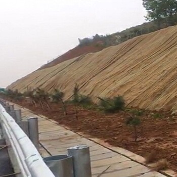 浙江湖州矿山植被恢复椰丝复合毯