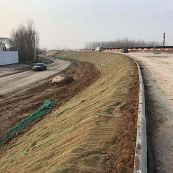 北京崇文边坡抗冲刷植被绿化椰丝复合毯