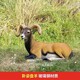 海南不銹鋼羊雕塑大型景觀產品圖
