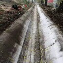 玉林水泥毯價格