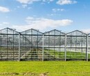 玻璃一道农业连栋温室大棚规划建造图片