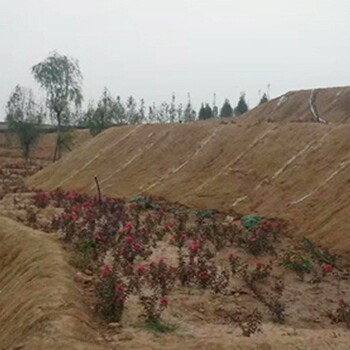 路基防護中植物纖維毯抗沖生物毯
