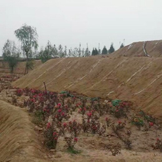 北京植物纤维毯生产厂家