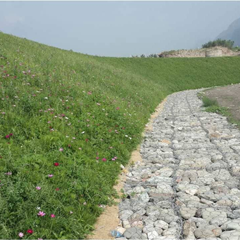 北京石景山矿山植被恢复椰丝复合毯