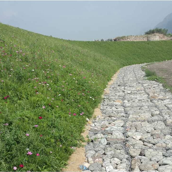 河北衡水边坡抗冲刷植被绿化椰丝复合毯