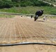 护坡草毯湖南张家界矿山生态修复植草毯