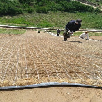 内蒙古阿拉善盟矿山植被恢复椰丝复合毯