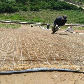 駐馬店抗沖生物毯批發廠家