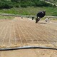 植物纖維毯圖