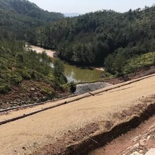 龙岩椰丝毯厂家价格图片