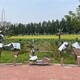 鹿雕塑景觀小品圖