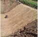 江苏扬州植被恢复绿化椰丝复合毯