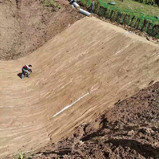 山西忻州水土流失治理椰丝复合毯