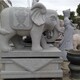河北石雕大象图