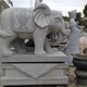 石雕大象圖