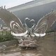 上海镂空发光天鹅雕塑厂家联系方式产品图
