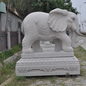 河北唐山景区石雕大象生产厂家