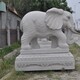 浙江户外石雕大象图