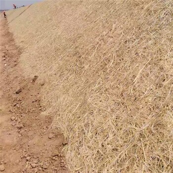 漢中椰絲毯抗沖生物毯