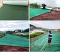 北京延庆高边坡防护椰丝复合毯