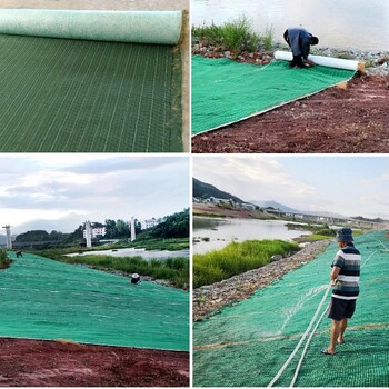 江西南昌河道边坡治理椰丝复合毯