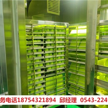 消毒房價格,大型蒸汽消毒房廠家,食品冷庫消毒