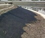边坡冲刷治理水土保护毯生产厂家武汉河道护坡水土保护毯