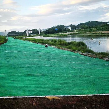 滨海新区椰丝毯厂家联系方式稻草毯