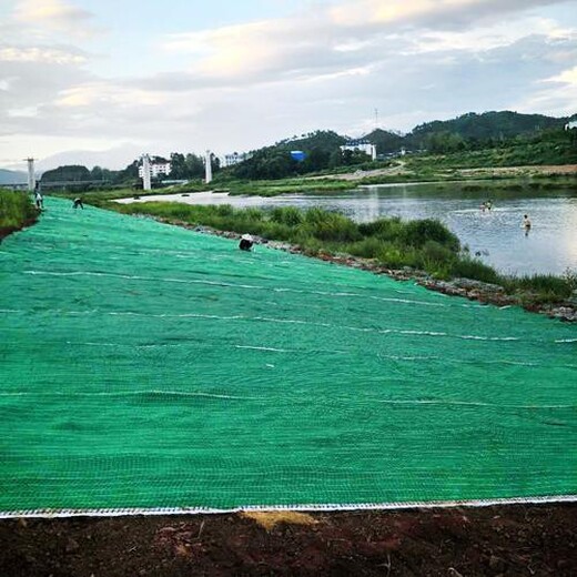 漳州护坡草毯生产厂家