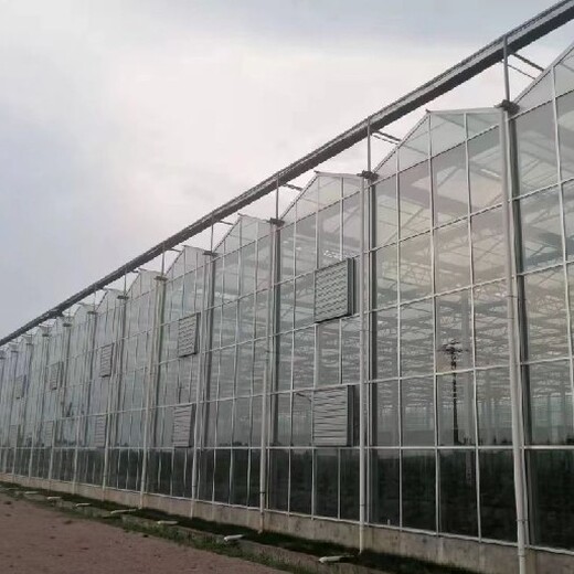 阳光板一道农业连栋温室大棚规划建造
