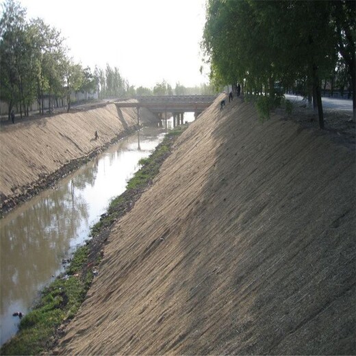 植物纤维毯抗冲毯河道护坡