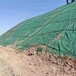 山西朔州边坡绿化椰丝复合毯
