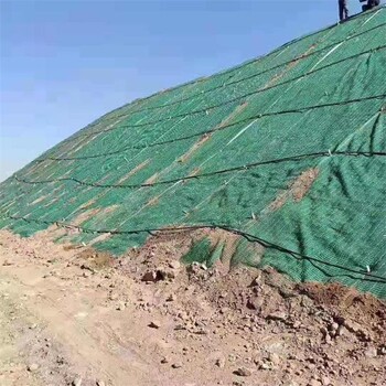 路基防護中植物纖維毯抗沖生物毯