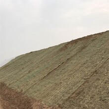 北京东城矿山植被恢复椰丝复合毯图片