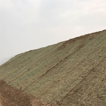 天津河北边坡抗冲刷植被绿化椰丝复合毯
