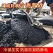 罐基礎(chǔ)鋪瀝青砂施工