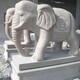 江西汉白玉石雕大象厂家联系电话产品图