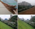 汉中植物纤维毯价格